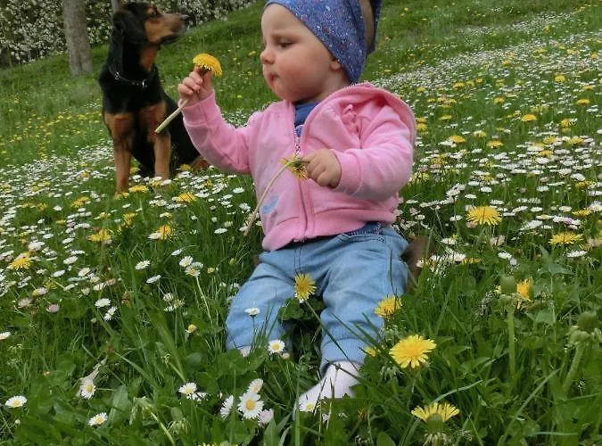 Schwab Appartamento Aich (Styria)